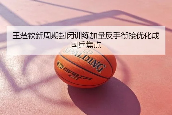王楚钦新周期封闭训练加量反手衔接优化成国乒焦点